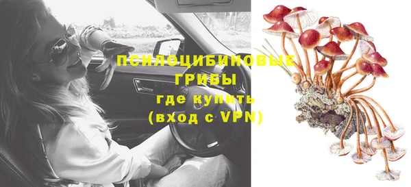 PSILOCYBIN Алзамай