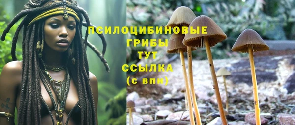 марки nbome Алексеевка