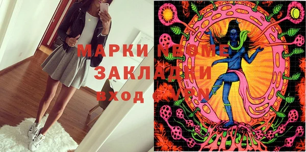 PSILOCYBIN Алзамай