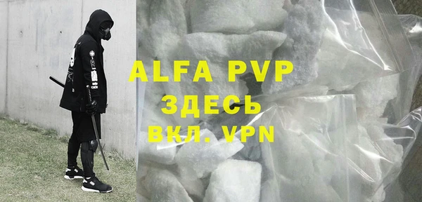 PSILOCYBIN Алзамай