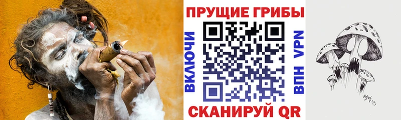 даркнет сайт мега зеркало Галлюциногенные грибы мицелий Сасово