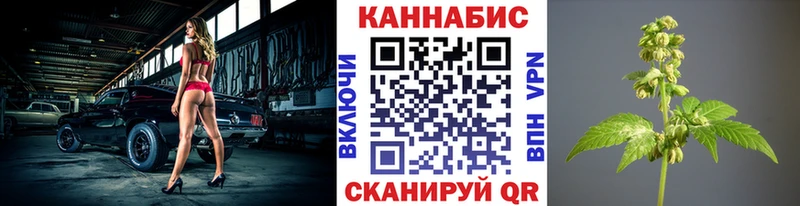 omg зеркало  Сасово  Бошки марихуана ГИДРОПОН  купить  